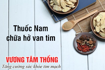 Chữa hở van tim bằng thuốc nam là phương pháp điều trị an toàn, hiệu quả.jpg